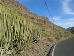 IMG_20160112_110951.jpg