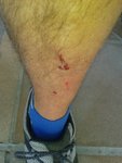 20160112_124223.jpg