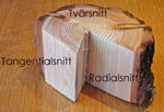Vedlab-vedanatomiska-snitt.jpg