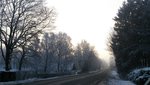 DSC_0299.JPG