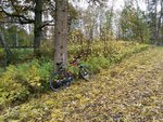 20151024_130008.jpg