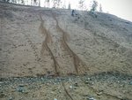 IMG_20160130_115933~2.jpg