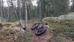 IMG_20160130_130245.jpg