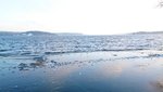 DSC_0326.JPG