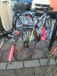 tmp_23805-Ego-kompislappar1247082400.JPG