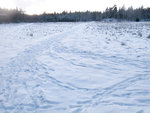 R0011400.jpg