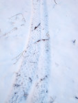 R0011401.jpg
