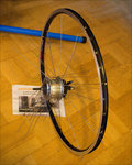 Nishiki Nexus-8 igen.jpg