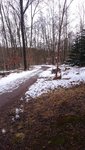 IMG-20160308-WA0001.jpeg