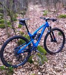 Rocky Element i skogen.jpg