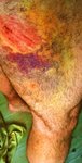 WP_20160213_11_35_47_Pro.jpg