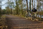 DSC07890.jpg