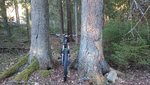 2016-04-01 17.32.34.jpg
