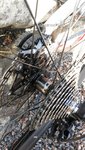 20160409_115939.jpg