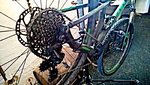WP_20160410_11_01_53_Pro.jpg