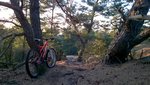 WP_20160412_19_43_42_Pro.jpg