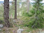 IMG_0080.JPG