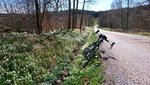 DSC_0235.JPG