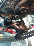 IMG_20160427_201148.jpg