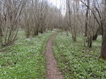 DSC03190.JPG