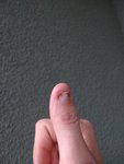 IMG_20160516_194524.jpg