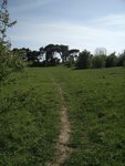 IMG_20160513_155826.jpg