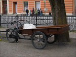 _1050227.jpg