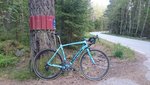 2016-05-18 19.32.26.jpg