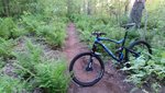 20160522_205104.jpg