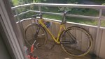 WP_20160601_08_04_01_Pro.jpg