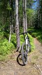 WP_20160606_12_53_51_Pro.jpg