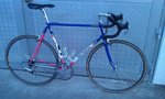 IMAG0263.jpg