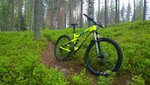 WP_20160519_18_54_40_Pro.jpg