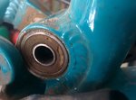 IMG_20160618_105130.jpg