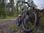 IMG_20160619_142107.jpg