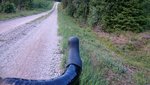 DSC_0626.JPG