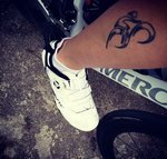 IMG_20160704_203852.jpg