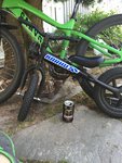IMG_4449.JPG