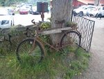 IMG_20160716_140419.jpg