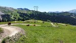 20160717_132427.jpg