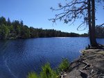 IMG_20160719_094902.jpg
