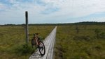 spången.jpg