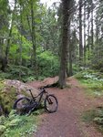 IMG_20160806_104205.jpg