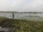 DSC03830.JPG