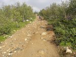 DSC03851.JPG