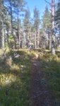 DSC_1007.JPG
