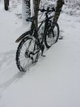 IMG_20150125_130754.jpg