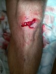IMG_20160823_194612.jpg