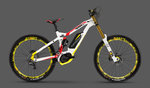 haibike-downhill-pro-ebike-1.jpg