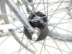surly02.jpg